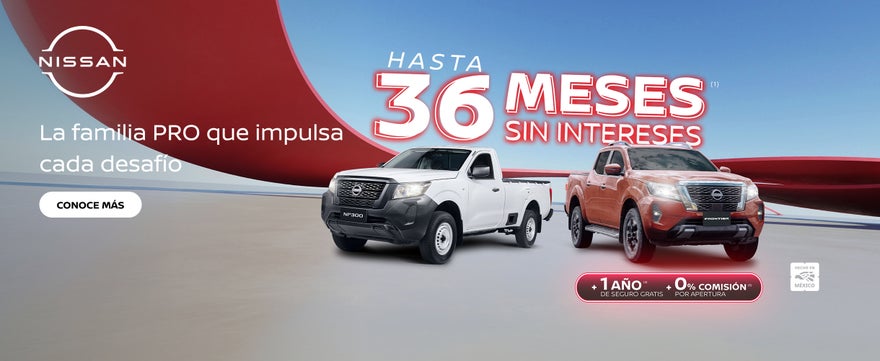 NISSAN FAMILIA PRO
